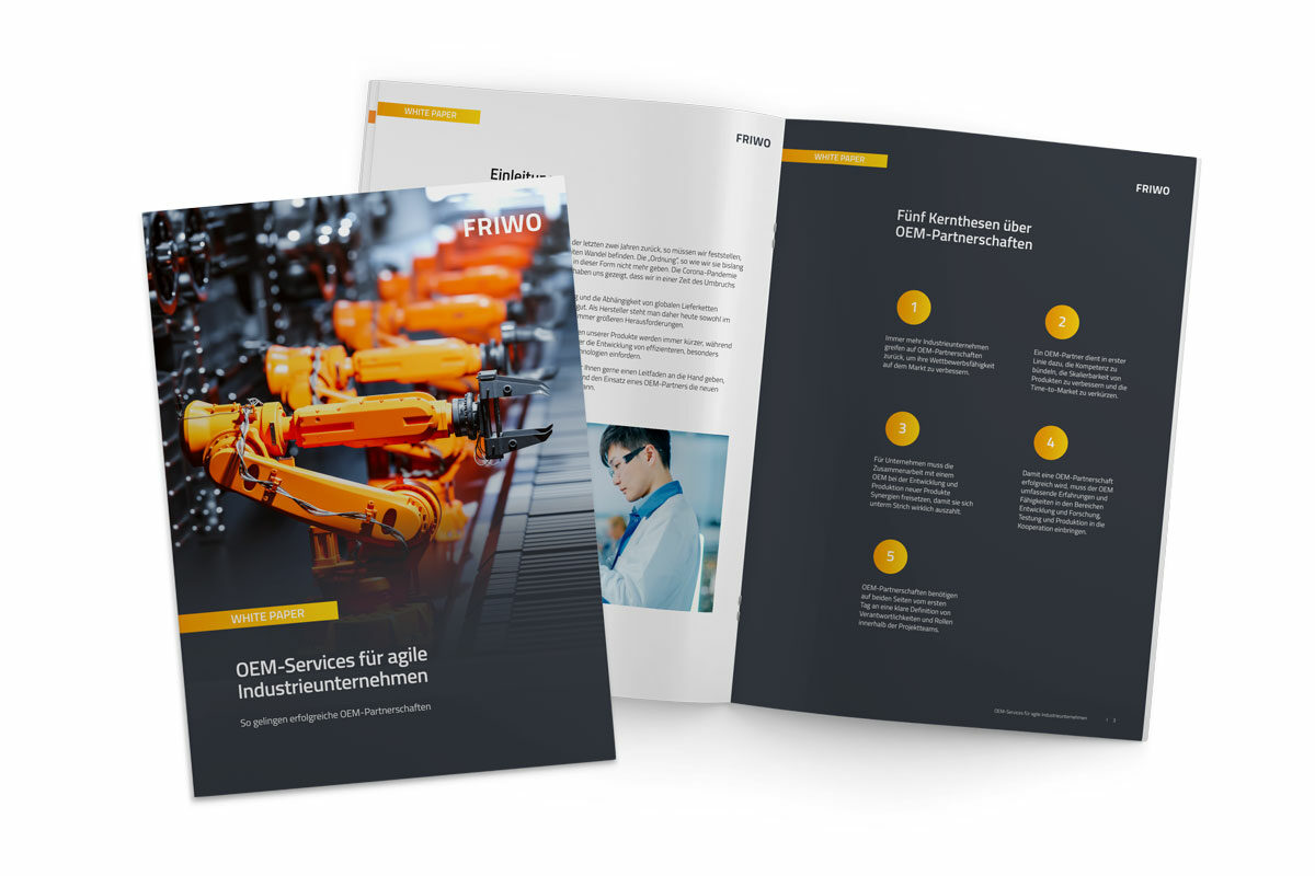 OEM White Paper Vorschau